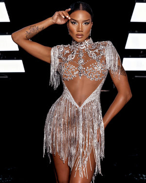 Crystal Visions Turtleneck Dress